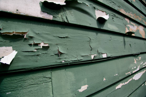 Best Wood Siding Installation  in East Hills, NY